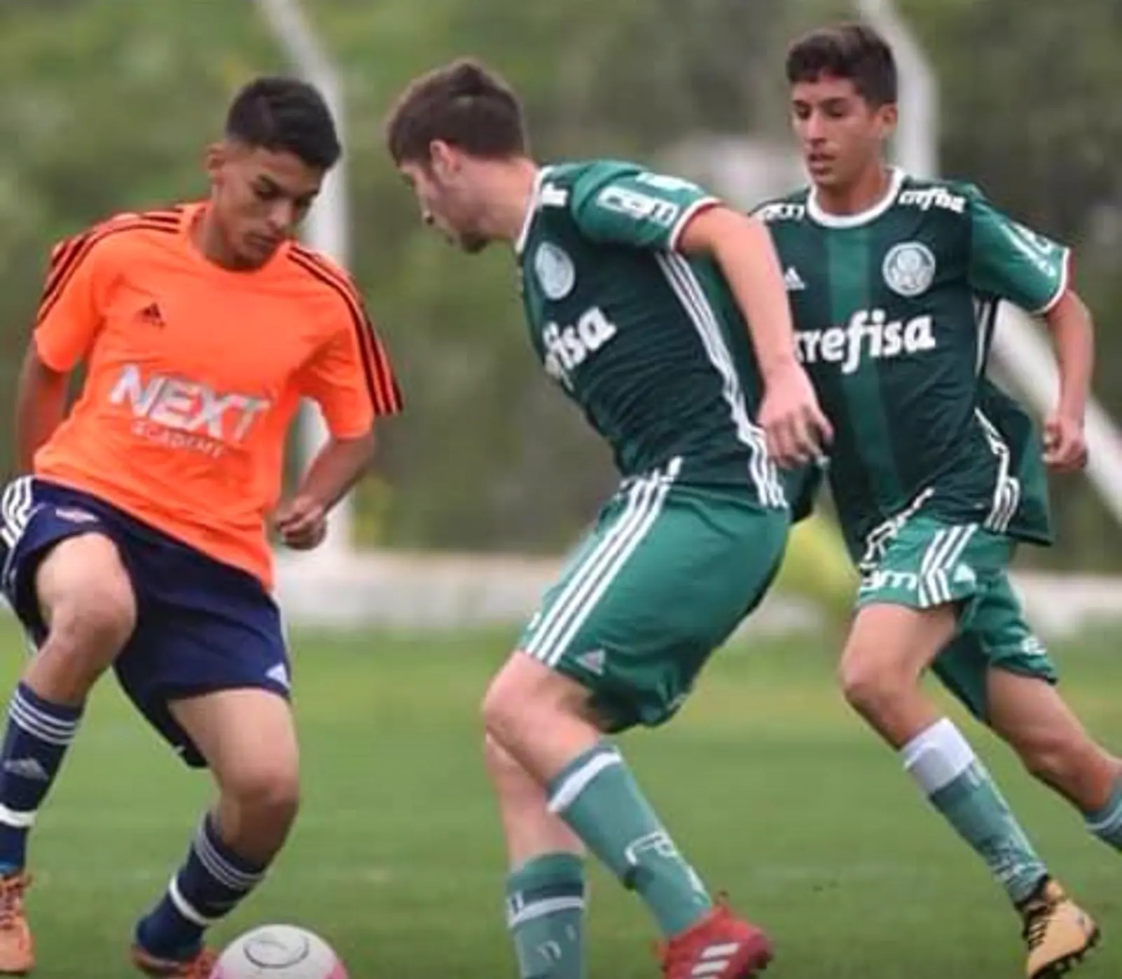 NEXT Academy contra o Palmeiras